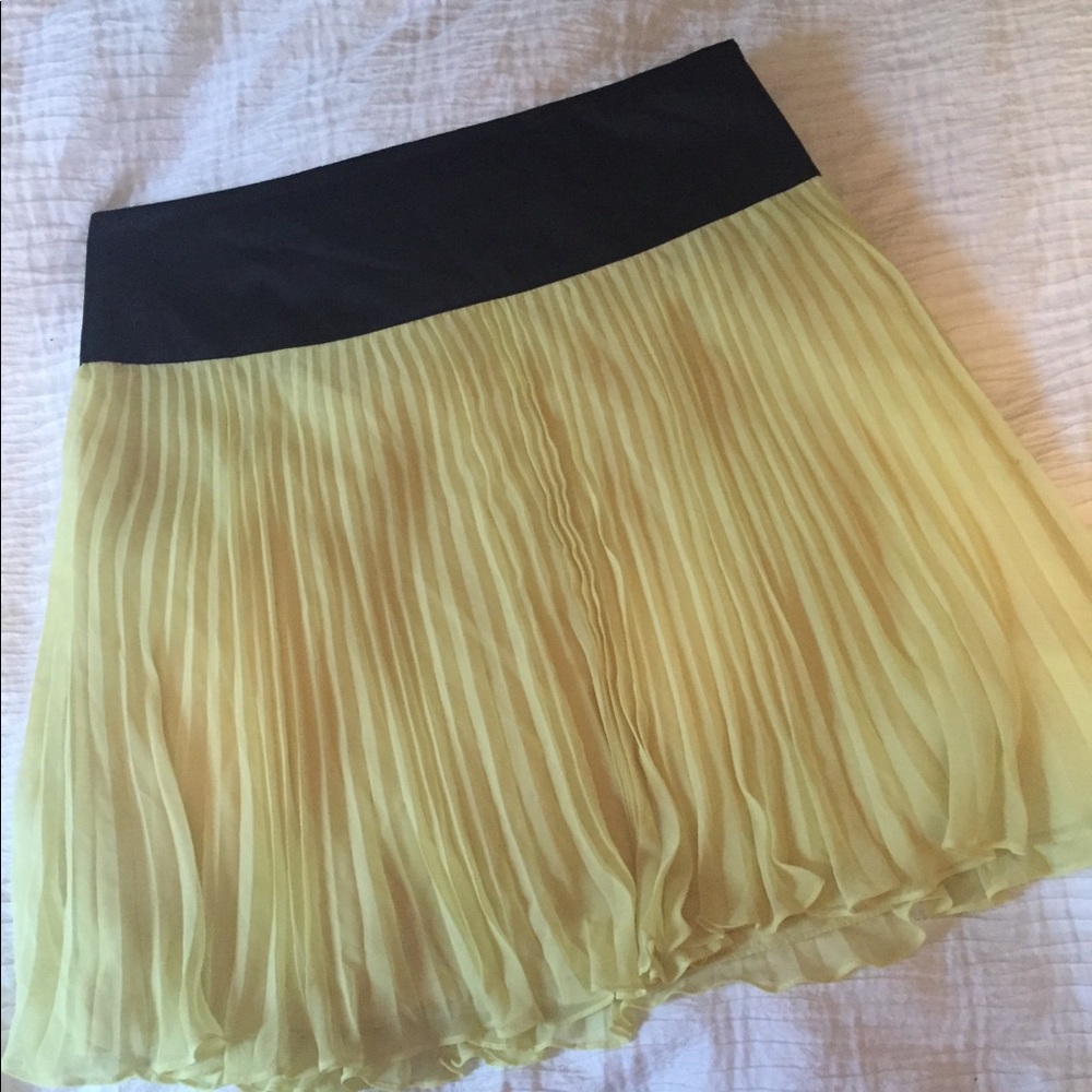 Pleated skirt